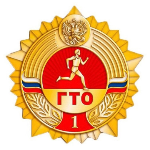 Какие привилегии дает знак ГТО? Какие привилегии дает знак ГТО?.